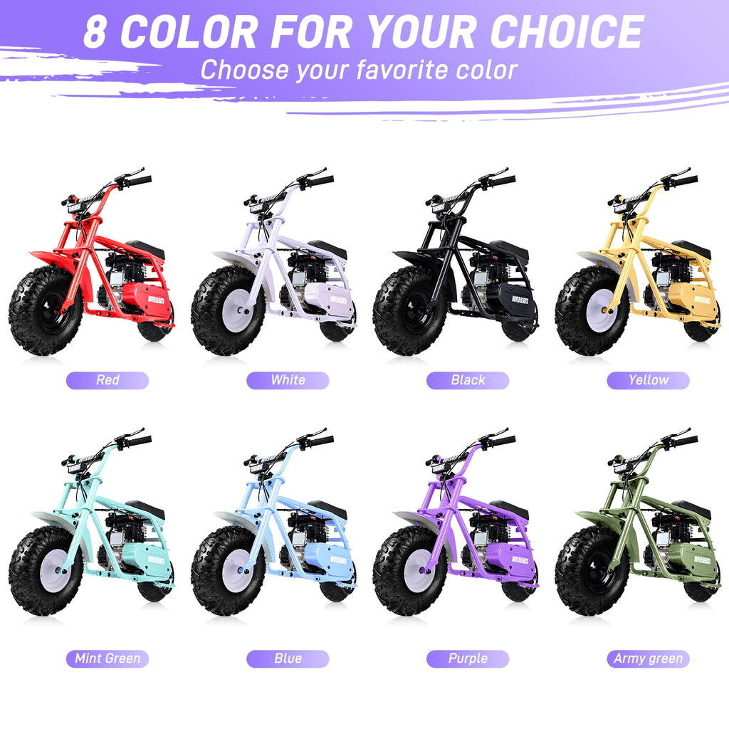 Aoemoe 99CC MB001 Gasoline Mini Dirt Bike,4-Stroke 18MPH Off Road Motorcycle, Weight Support Up to 165 LBS - Purple