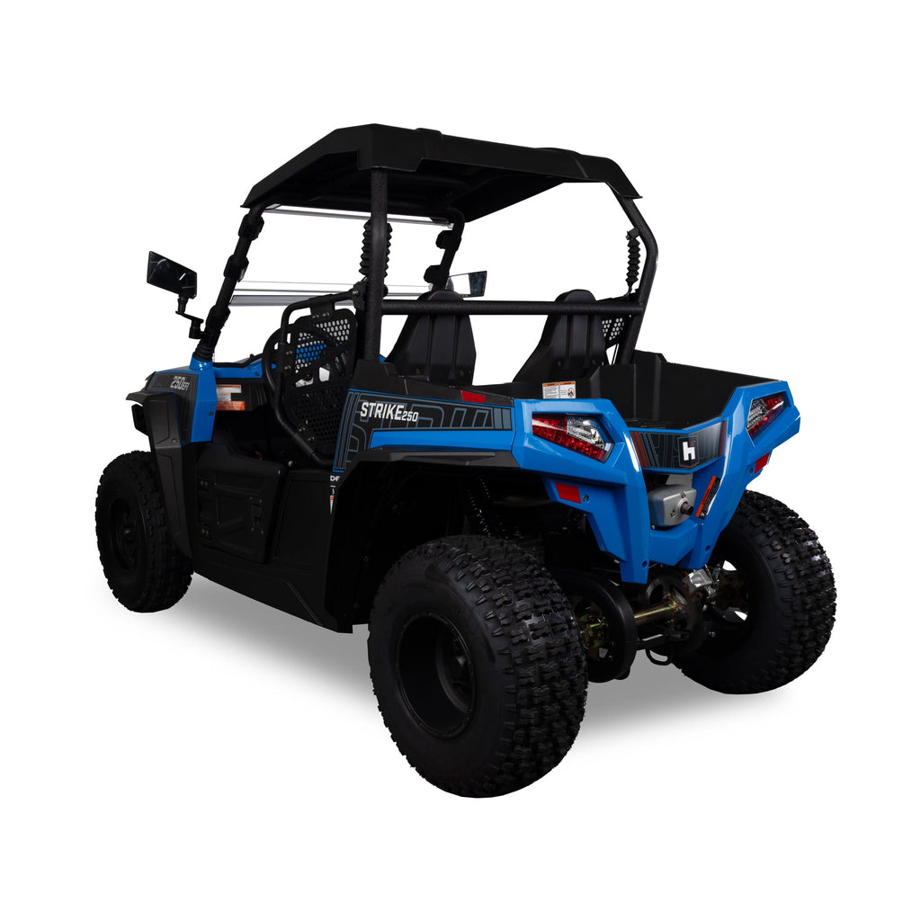 Hisun Sport 250 UTV Blue 2-Seater, 16 HP, 229cc UTV with Accessories