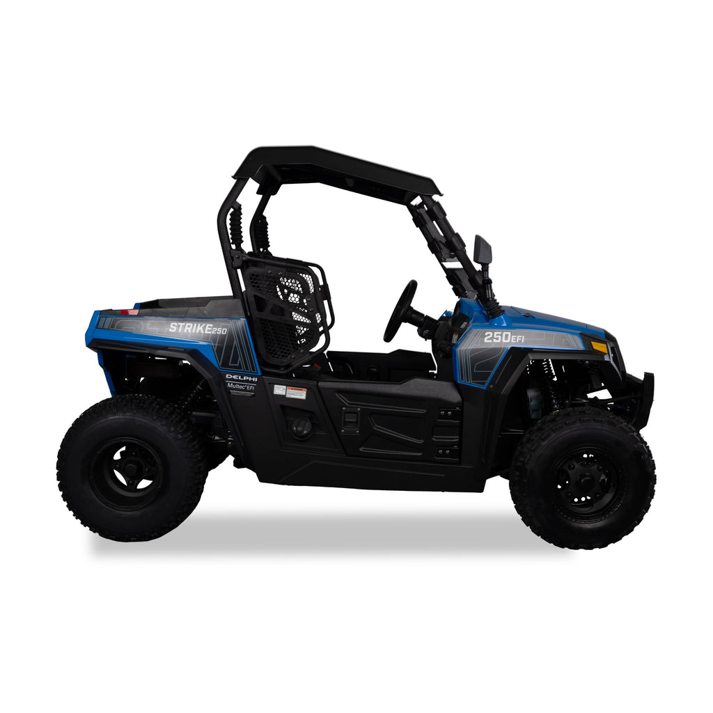 Hisun Sport 250 UTV Blue 2-Seater, 16 HP, 229cc UTV with Accessories