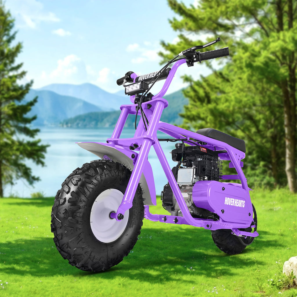 Aoemoe 99CC MB001 Gasoline Mini Dirt Bike,4-Stroke 18MPH Off Road Motorcycle, Weight Support Up to 165 LBS - Purple